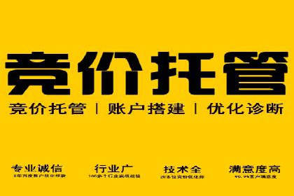 初学者的百度竞价推广：成功案例揭秘